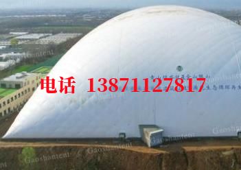 依安气膜棚卷帘门,电动门